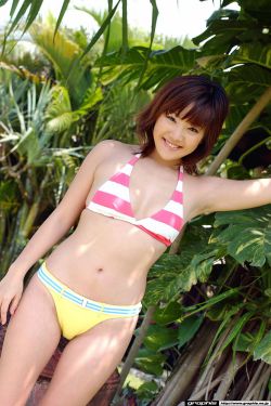 孤独的野兽